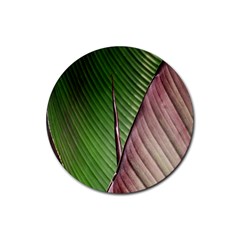 Leaf Banana Leaf Greenish Lines Rubber Round Coaster (4 Pack)  by Sapixe