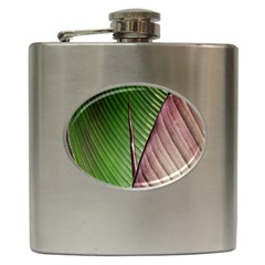 Leaf Banana Leaf Greenish Lines Hip Flask (6 Oz) by Sapixe