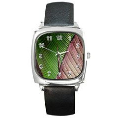 Leaf Banana Leaf Greenish Lines Square Metal Watch by Sapixe