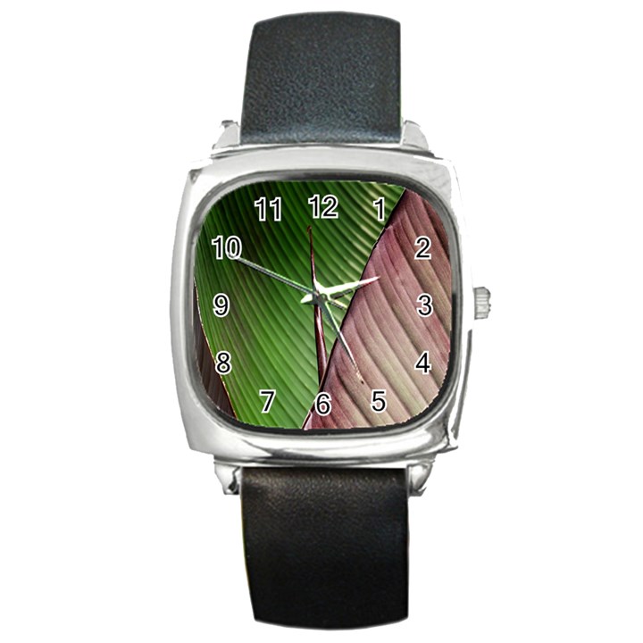 Leaf Banana Leaf Greenish Lines Square Metal Watch