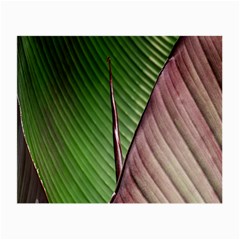 Leaf Banana Leaf Greenish Lines Small Glasses Cloth by Sapixe