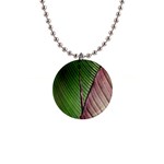 Leaf Banana Leaf Greenish Lines Button Necklaces Front