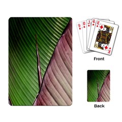 Leaf Banana Leaf Greenish Lines Playing Cards Single Design by Sapixe