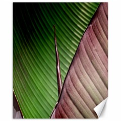 Leaf Banana Leaf Greenish Lines Canvas 16  X 20  by Sapixe