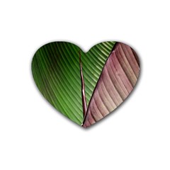 Leaf Banana Leaf Greenish Lines Heart Coaster (4 Pack)  by Sapixe