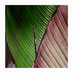 Leaf Banana Leaf Greenish Lines Medium Glasses Cloth by Sapixe