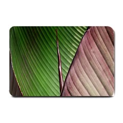 Leaf Banana Leaf Greenish Lines Small Doormat  by Sapixe