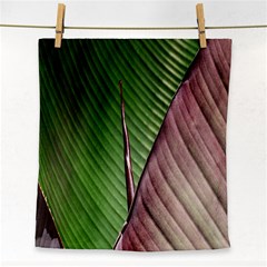 Leaf Banana Leaf Greenish Lines Face Towel by Sapixe