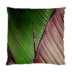 Leaf Banana Leaf Greenish Lines Standard Cushion Case (one Side) by Sapixe