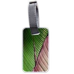 Leaf Banana Leaf Greenish Lines Luggage Tags (two Sides) by Sapixe