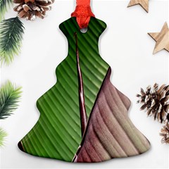 Leaf Banana Leaf Greenish Lines Christmas Tree Ornament (two Sides) by Sapixe