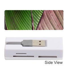 Leaf Banana Leaf Greenish Lines Memory Card Reader (stick)