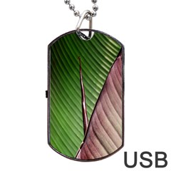 Leaf Banana Leaf Greenish Lines Dog Tag Usb Flash (one Side) by Sapixe