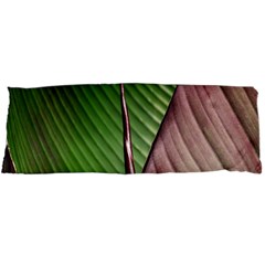 Leaf Banana Leaf Greenish Lines Body Pillow Case Dakimakura (two Sides) by Sapixe