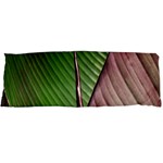 Leaf Banana Leaf Greenish Lines Body Pillow Case Dakimakura (Two Sides) Front