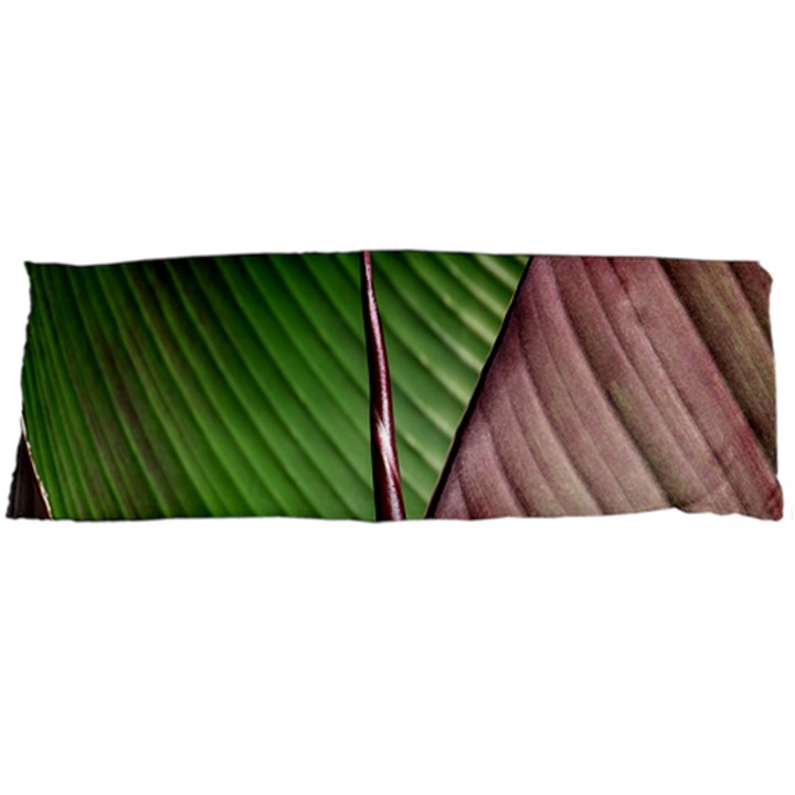 Leaf Banana Leaf Greenish Lines Body Pillow Case Dakimakura (Two Sides)