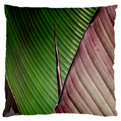 Leaf Banana Leaf Greenish Lines Large Cushion Case (one Side) by Sapixe