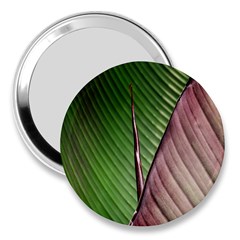 Leaf Banana Leaf Greenish Lines 3  Handbag Mirrors by Sapixe