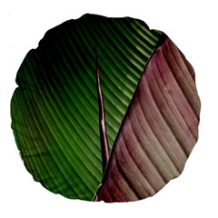 Leaf Banana Leaf Greenish Lines Large 18  Premium Round Cushions by Sapixe