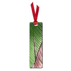 Leaf Banana Leaf Greenish Lines Small Book Marks by Sapixe