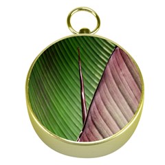 Leaf Banana Leaf Greenish Lines Gold Compasses by Sapixe