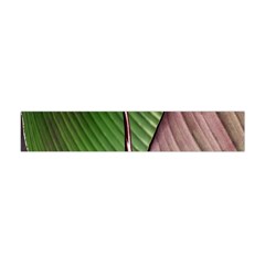 Leaf Banana Leaf Greenish Lines Flano Scarf (mini) by Sapixe