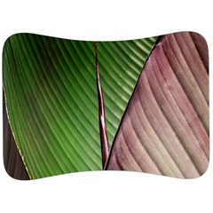 Leaf Banana Leaf Greenish Lines Velour Seat Head Rest Cushion