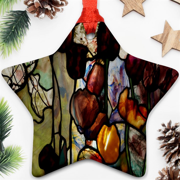 Tiffany Window Colorful Pattern Star Ornament (Two Sides)