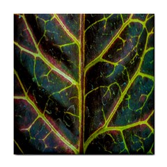 Leaf Abstract Nature Design Plant Tile Coasters by Sapixe