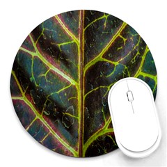 Leaf Abstract Nature Design Plant Round Mousepads by Sapixe