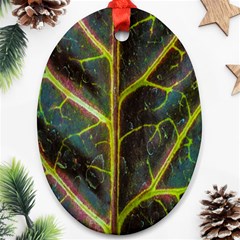 Leaf Abstract Nature Design Plant Ornament (oval) by Sapixe