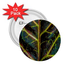 Leaf Abstract Nature Design Plant 2 25  Buttons (10 Pack)  by Sapixe