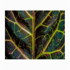 Leaf Abstract Nature Design Plant Small Glasses Cloth by Sapixe