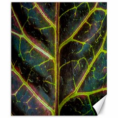 Leaf Abstract Nature Design Plant Canvas 8  X 10  by Sapixe