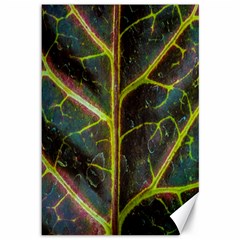 Leaf Abstract Nature Design Plant Canvas 12  X 18  by Sapixe