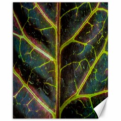 Leaf Abstract Nature Design Plant Canvas 16  X 20  by Sapixe