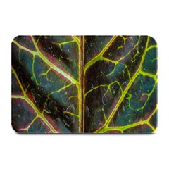 Leaf Abstract Nature Design Plant Plate Mats by Sapixe