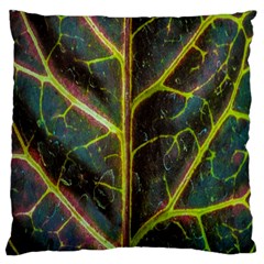 Leaf Abstract Nature Design Plant Large Cushion Case (two Sides) by Sapixe