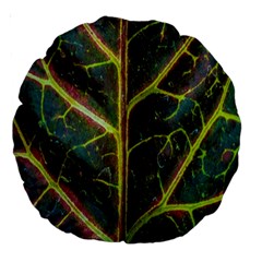 Leaf Abstract Nature Design Plant Large 18  Premium Round Cushions by Sapixe