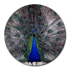 Peacock Bird Animals Pen Plumage Round Mousepads by Sapixe