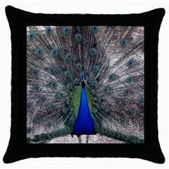 Peacock Bird Animals Pen Plumage Throw Pillow Case (black) by Sapixe