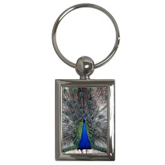 Peacock Bird Animals Pen Plumage Key Chains (rectangle)  by Sapixe