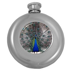 Peacock Bird Animals Pen Plumage Round Hip Flask (5 Oz) by Sapixe