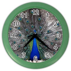 Peacock Bird Animals Pen Plumage Color Wall Clock by Sapixe