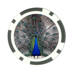 Peacock Bird Animals Pen Plumage Poker Chip Card Guard (10 Pack) by Sapixe