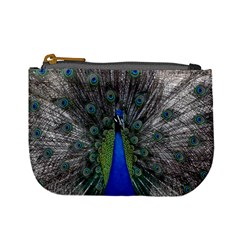 Peacock Bird Animals Pen Plumage Mini Coin Purse by Sapixe