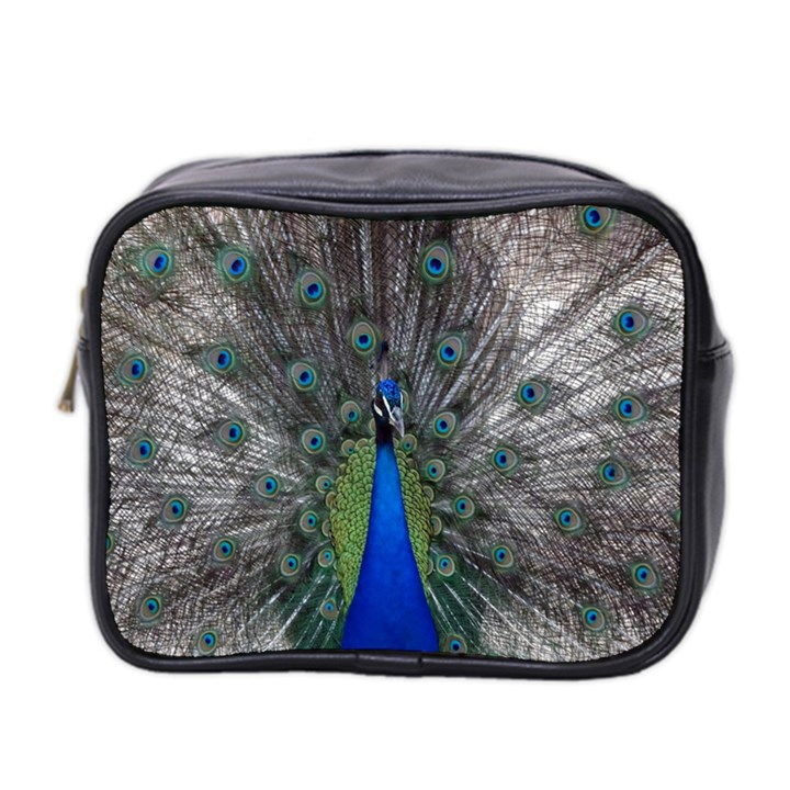 Peacock Bird Animals Pen Plumage Mini Toiletries Bag (Two Sides)