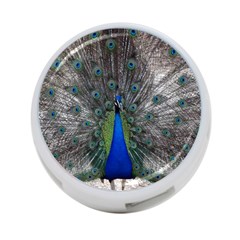 Peacock Bird Animals Pen Plumage 4-port Usb Hub (two Sides) by Sapixe