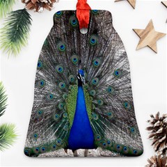 Peacock Bird Animals Pen Plumage Ornament (bell) by Sapixe