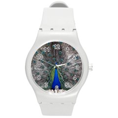 Peacock Bird Animals Pen Plumage Round Plastic Sport Watch (m) by Sapixe